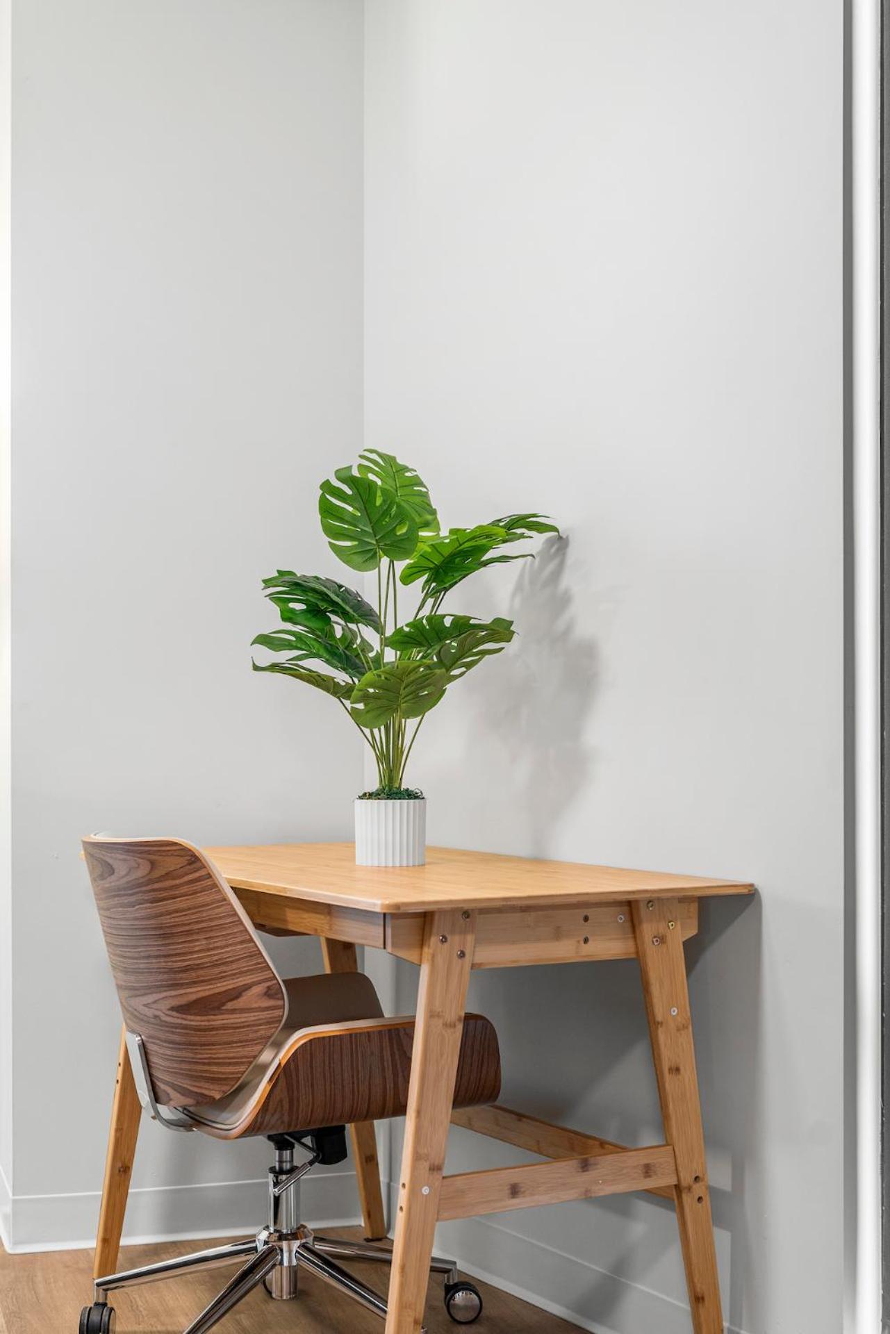 בוסטון Furnished Luxury Apartment Next To Harvard Stadium מראה חיצוני תמונה